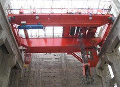 Power station crane